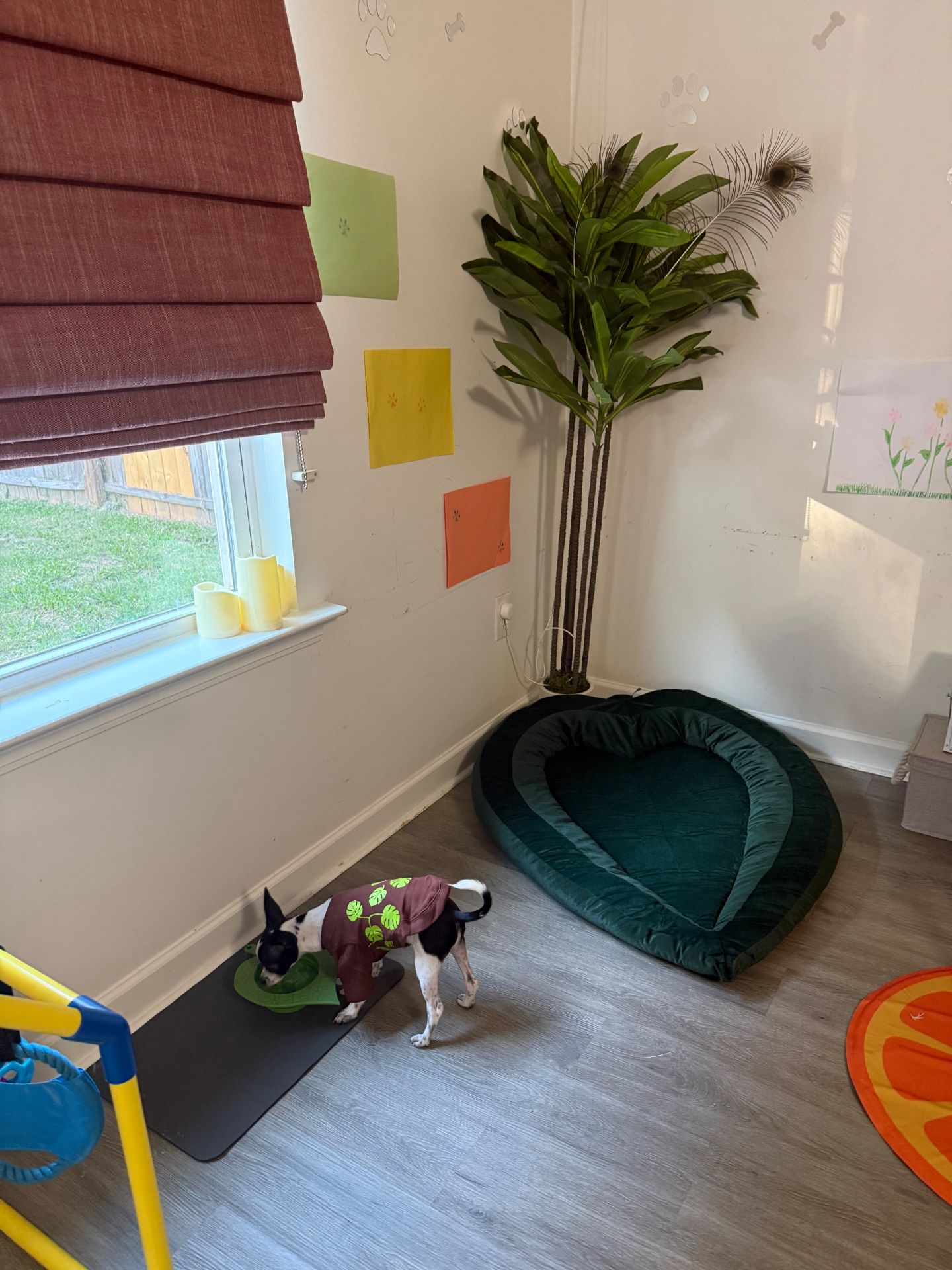 A small dog in a sweater beside the green heart-shaped bed in the playroom