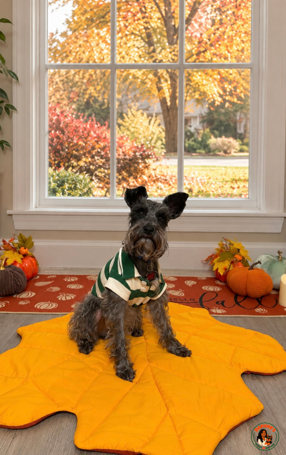 A schnauzer in a green striped sweater sitting on a yellow leaf blanket